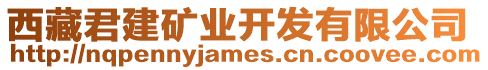 西藏君建礦業(yè)開發(fā)有限公司