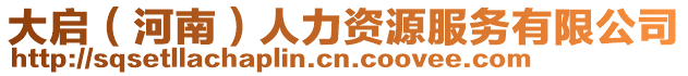 大啟(河南)人力資源服務有限公司