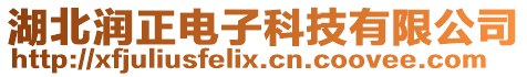 湖北潤正電子科技有限公司