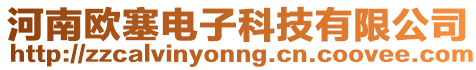 河南歐塞電子科技有限公司
