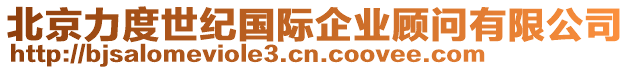北京力度世紀國際企業顧問有限公司