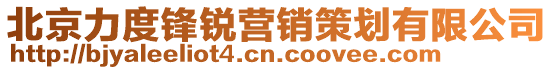 北京力度鋒銳營(yíng)銷策劃有限公司