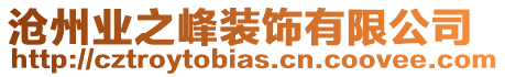 滄州業之峰裝飾有限公司