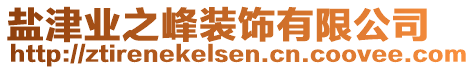 鹽津業(yè)之峰裝飾有限公司