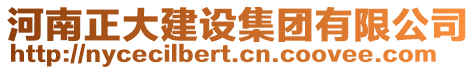 河南正大建設集團有限公司