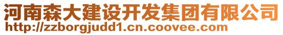 河南森大建設(shè)開發(fā)集團(tuán)有限公司