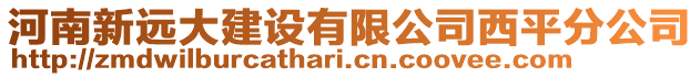 河南新遠大建設有限公司西平分公司