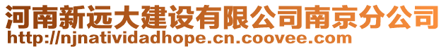 河南新遠大建設有限公司南京分公司