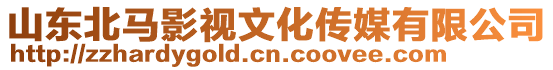 山東北馬影視文化傳媒有限公司