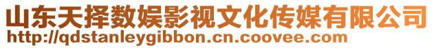 山東天擇數娛影視文化傳媒有限公司