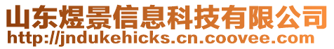 山東煜景信息科技有限公司