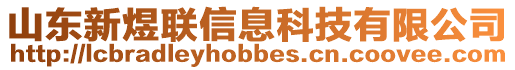 山東新煜聯(lián)信息科技有限公司