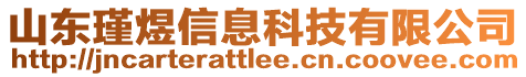 山東瑾煜信息科技有限公司