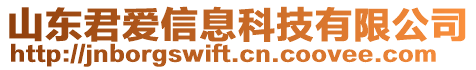 山東君愛信息科技有限公司