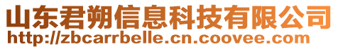 山東君朔信息科技有限公司