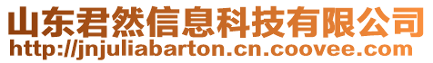 山東君然信息科技有限公司