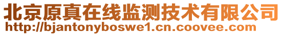 北京原真在線監(jiān)測(cè)技術(shù)有限公司