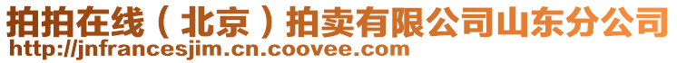 拍拍在線（北京）拍賣有限公司山東分公司