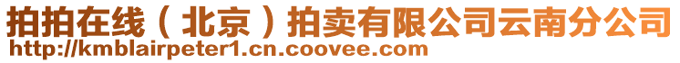 拍拍在線(北京)拍賣有限公司云南分公司
