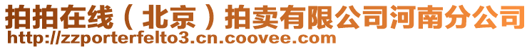 拍拍在線（北京）拍賣有限公司河南分公司