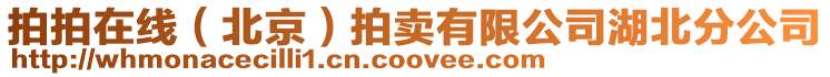 拍拍在線(北京)拍賣有限公司湖北分公司