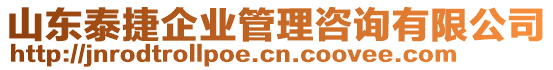 山東泰捷企業管理咨詢有限公司