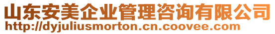 山東安美企業(yè)管理咨詢有限公司