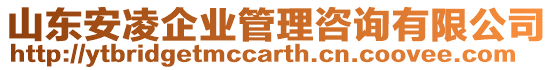山東安凌企業(yè)管理咨詢有限公司