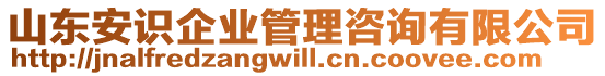 山東安識企業管理咨詢有限公司
