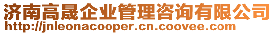 濟南高晟企業管理咨詢有限公司