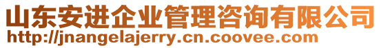 山東安進企業管理咨詢有限公司