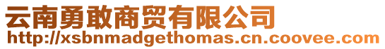 云南勇敢商貿有限公司