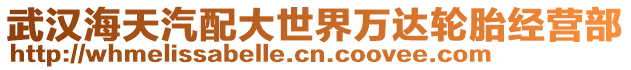 武漢海天汽配大世界萬達(dá)輪胎經(jīng)營部