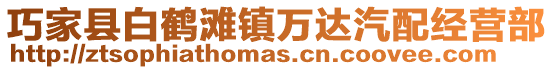 巧家縣白鶴灘鎮萬達汽配經營部