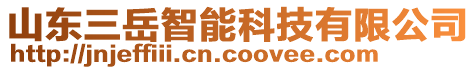 山東三岳智能科技有限公司
