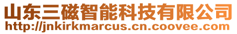 山東三磁智能科技有限公司