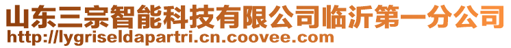 山東三宗智能科技有限公司臨沂第一分公司