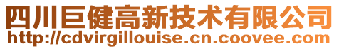四川巨健高新技術(shù)有限公司