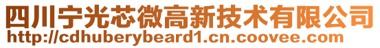 四川寧光芯微高新技術(shù)有限公司