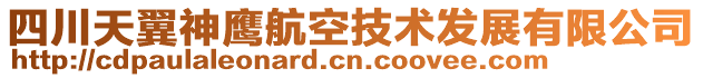 四川天翼神鷹航空技術(shù)發(fā)展有限公司