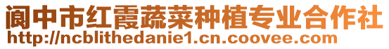 閬中市紅霞蔬菜種植專業(yè)合作社