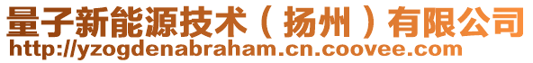 量子新能源技術(shù)（揚(yáng)州）有限公司