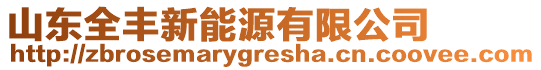 山東全豐新能源有限公司