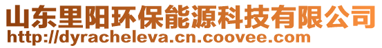 山東里陽(yáng)環(huán)保能源科技有限公司