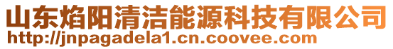 山東焰陽清潔能源科技有限公司