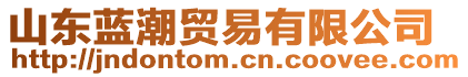 山東藍(lán)潮貿(mào)易有限公司