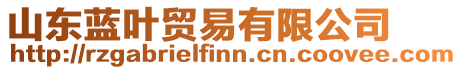 山東藍(lán)葉貿(mào)易有限公司