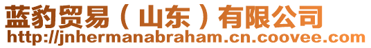 藍豹貿(mào)易（山東）有限公司