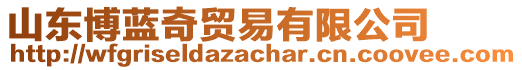 山東博藍(lán)奇貿(mào)易有限公司