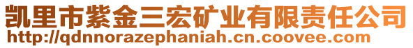 凱里市紫金三宏礦業(yè)有限責(zé)任公司